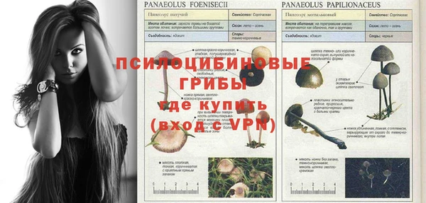 кристаллы Алексин