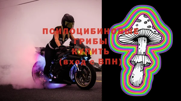 прущие крисы Алексеевка