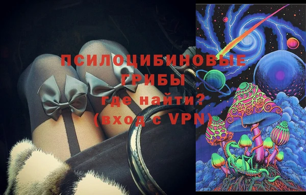 гидра Алзамай