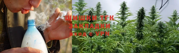 гидра Алзамай