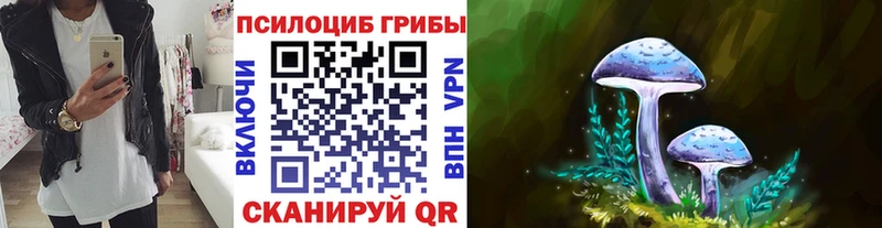 Псилоцибиновые грибы Psilocybe  Артём 