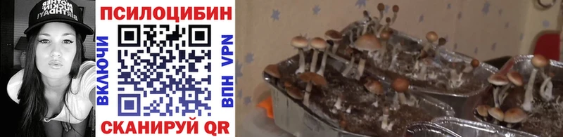 Псилоцибиновые грибы мухоморы Артём